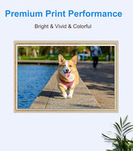 Load image into Gallery viewer, Brother Ink for Your Printers: MFC-J4440DW, MFC-J4540DW, MFC-J5955DW, MFC-J5955DW, MFC-J6555DWXL,